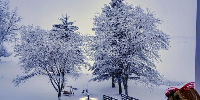 snow christmas card2