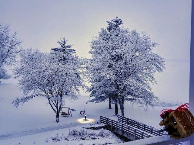 snow christmas card2