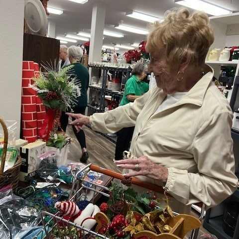 lady shop2 lady shop2